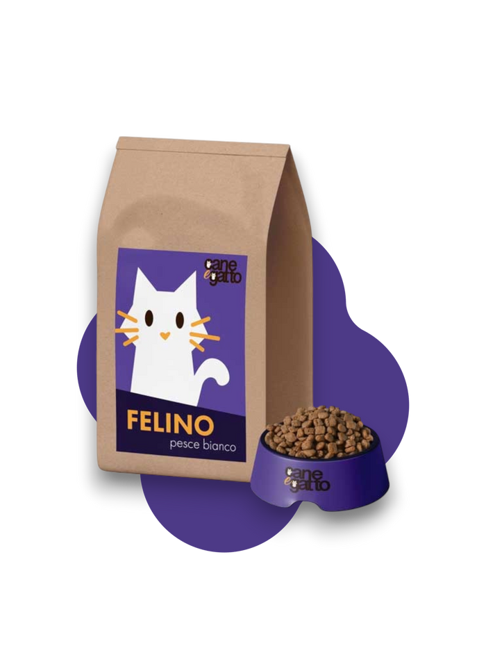 Felino Pesce Bianco – Croccantini Grain Free per Gatti