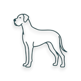 Sviluppo Grandi Taglie - Cani Grandi e Molossi